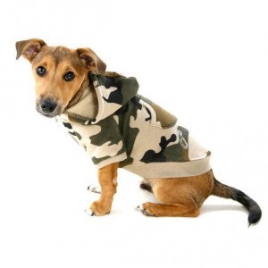 combat-dog-hoodie.jpg